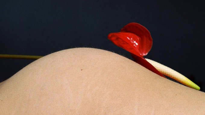 diverse_pleasure
