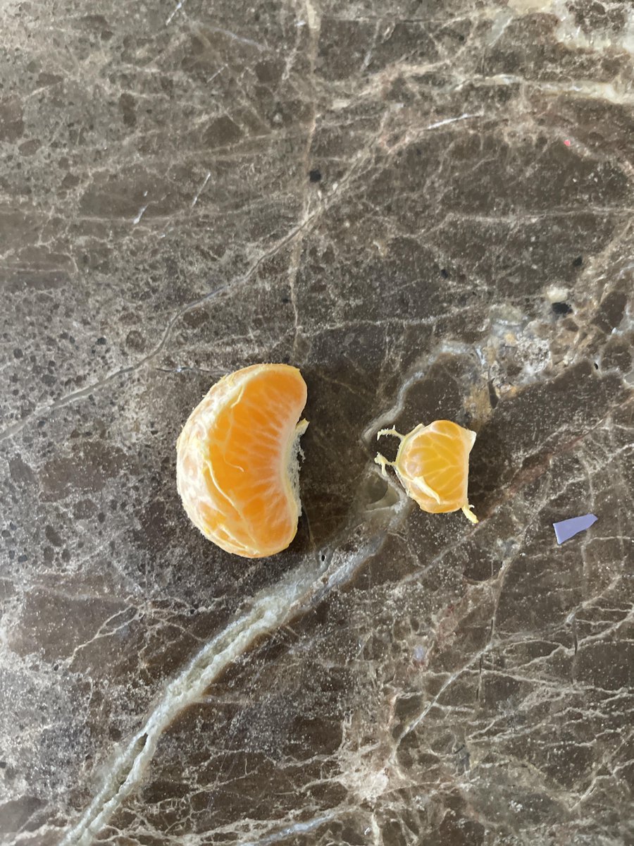 the fonz tweet media