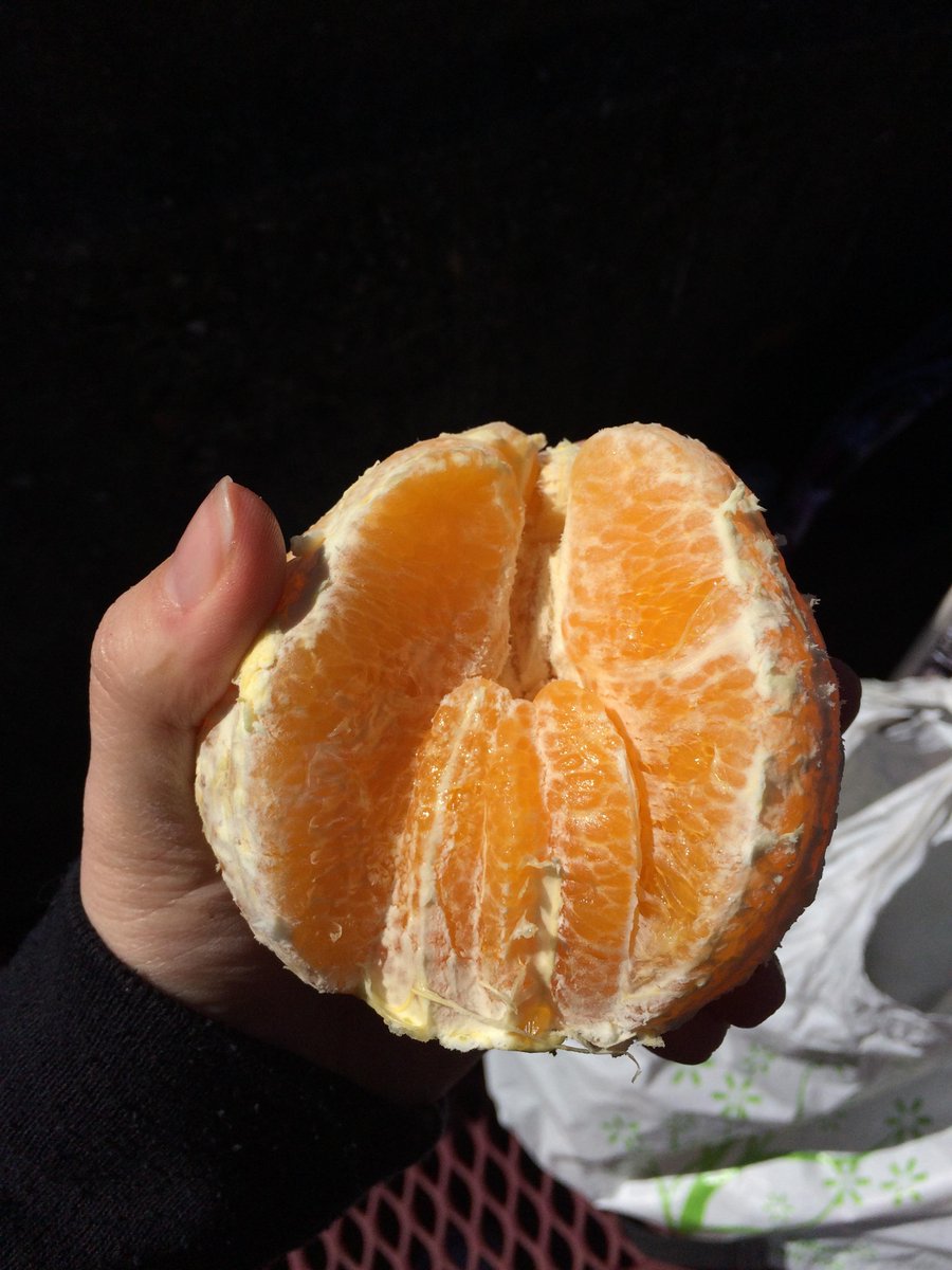 the fonz tweet media