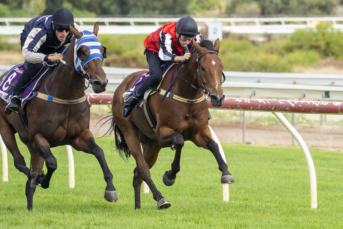 Racing WA TV tweet media