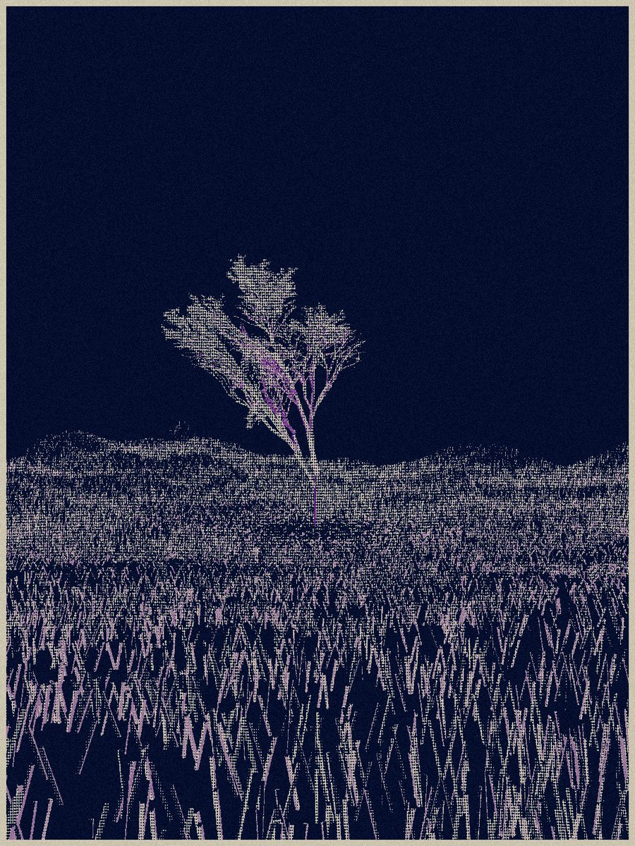 #Collect365days Day 64, Collect Sustainability by 
<a href="/woutmissler/">Wouter Missler || WootScoot</a> I can feel the wind touch my heart in this collection.  #generativeart