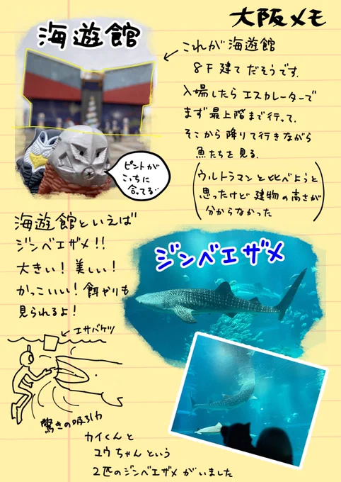 ジンベエザメに会って来ました
(3枚目は観覧車から見た海遊館) 
