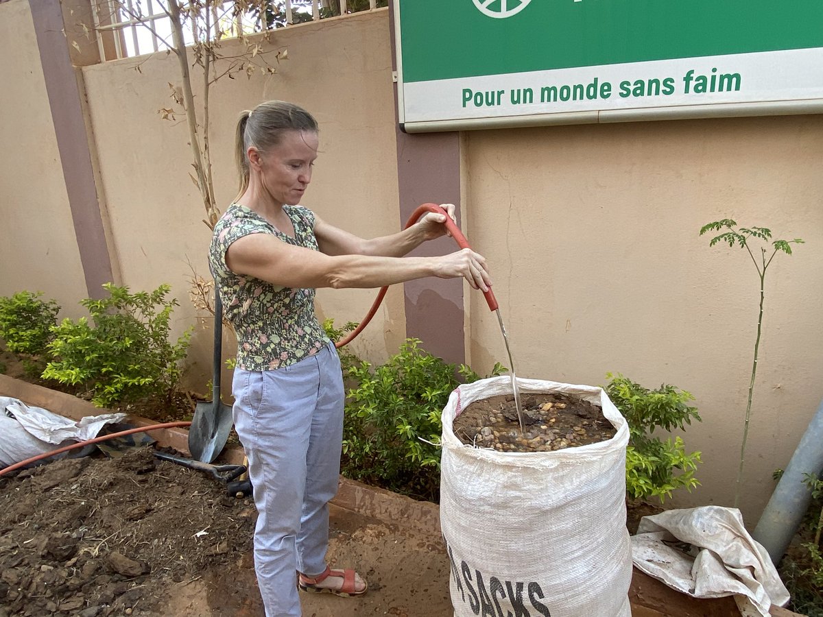mwarumba's tweet photo. Team demonstration session on sac gardens led by our program support manager Yaou Malam Madjidou at @WHHNiger office.Our projects in Diffa, Tillabery & Tahoua feature sac gardens as viable innovations for IDP, refugees & returnees. Happy start of the week !!! #Niger #aidwork https://t.co/qz19JdBY3X