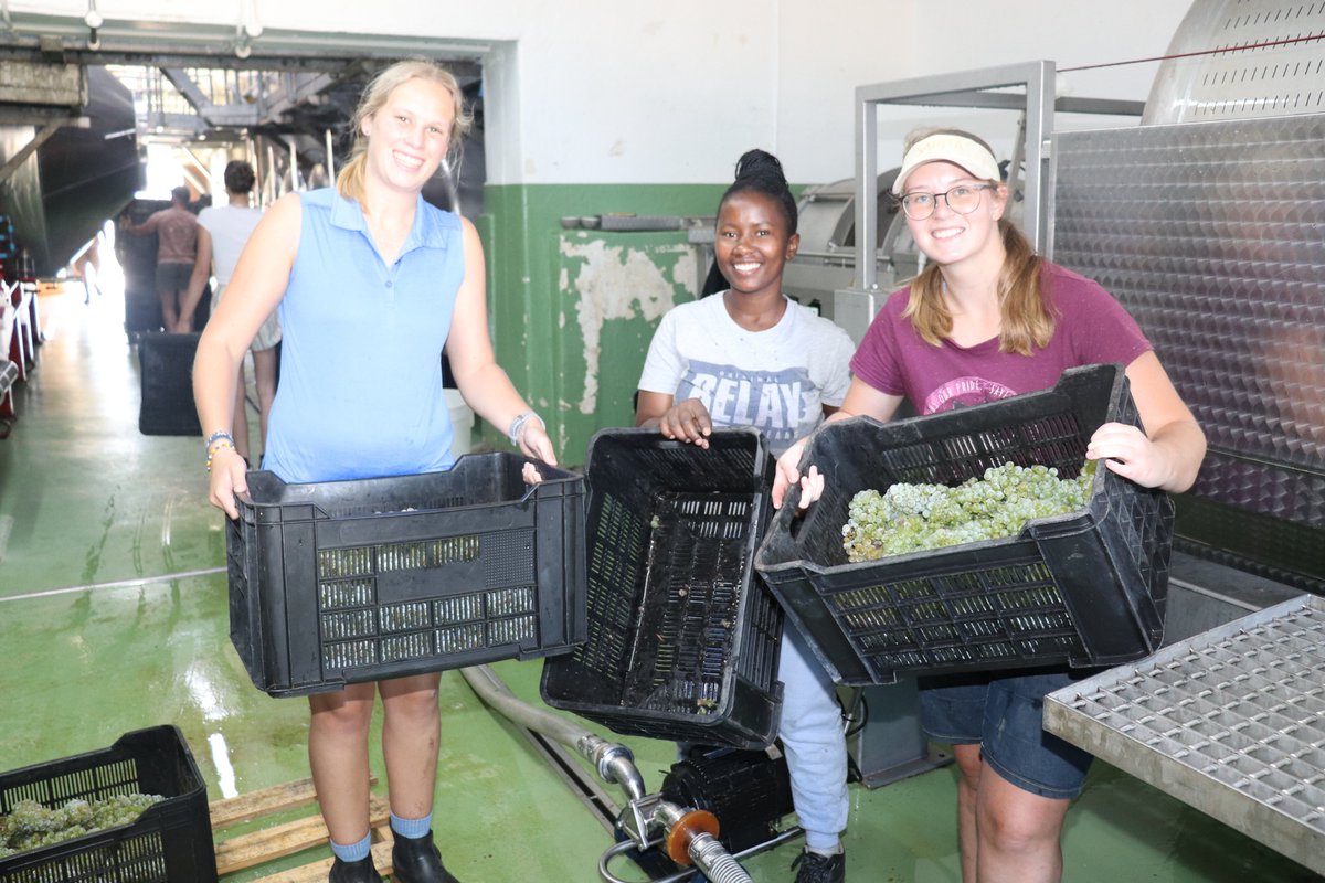 WC Dept of Agriculture tweet media
