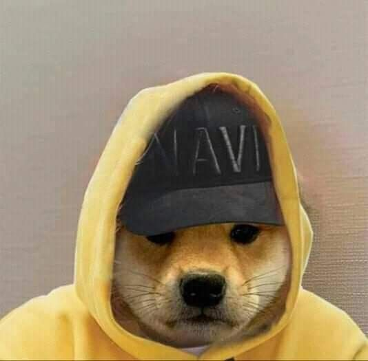 FORCE𝕏 THE REAL ONLY ONE ❤️ Memecoin tweet media