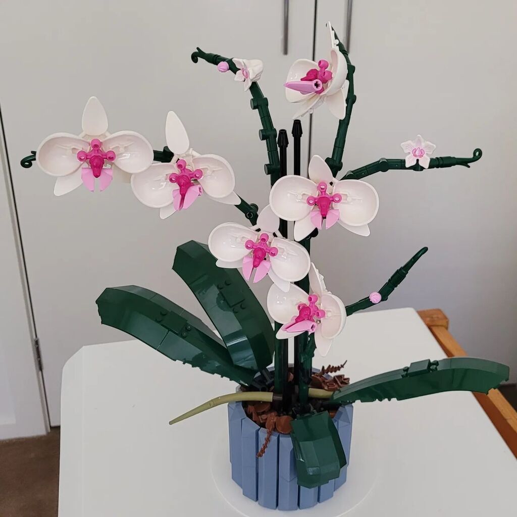 abunchofkittens's tweet photo. I love orchids, but they don't last. This Lego one will last forever. Made by my son.

#lego #legoicons #legoflowers #legoorchid https://t.co/bWXi90kS3F https://t.co/HcNexCZGzi