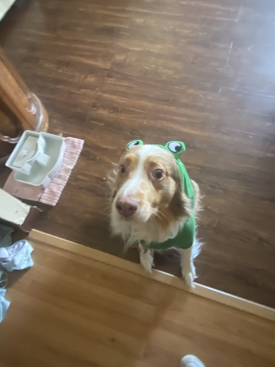 KateM_11's tweet photo. https://t.co/AMxfo5UzfZ