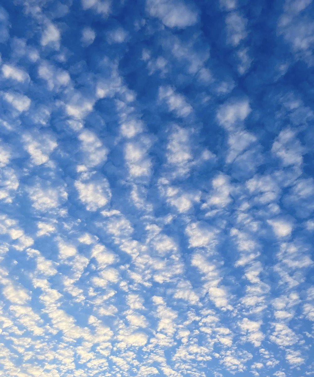 はきっといい日になる