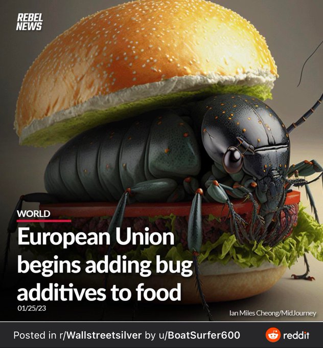 OrganicLiveFood's tweet photo. Who's hungry?     🪲        🍔      🐛 https://t.co/P2EIR3OvyO
