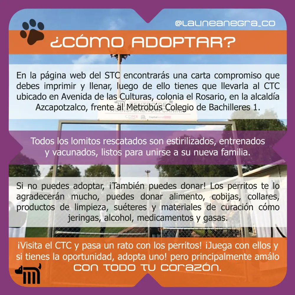 LaLineaNegra_Co's tweet photo. ¡Conoce el Centro de Transferencia Canina! 🐶

#Metro #METROCDMX #CDMX #STC #MexicoCity #cdmx🇲🇽 #metronautas #MetroFan #Metrofilia #Recorido #Viajes #CTC #Adopta #Perros #PerritosRescatados #AdoptaNoCompres #Lomitos #adoptaunperro #salvaunavida #adopcion #AdoptaUnÁngel #CTC https://t.co/B7SFOiSNBn