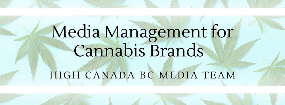 sometimessaraj's tweet photo. Hi! What’s my name!? #Sara 💚 What do I do!? ⬇️ #CanadianCannabis #Mmemberville #cannabisculture #cannabisculture #420Life #cannabislife #cannabisnews #highcanada #CannabisCommunity https://t.co/vfwaApoWaT
