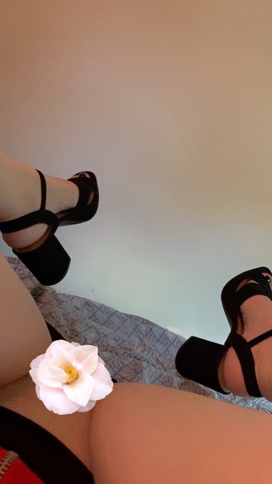 Wanna guess what it taste like 🤤 https://t.co/xC4HGt7HVo