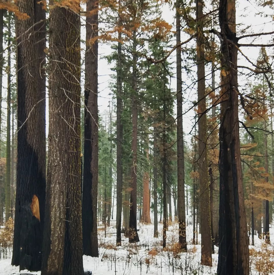 Gabrielle Boisrame tweet media