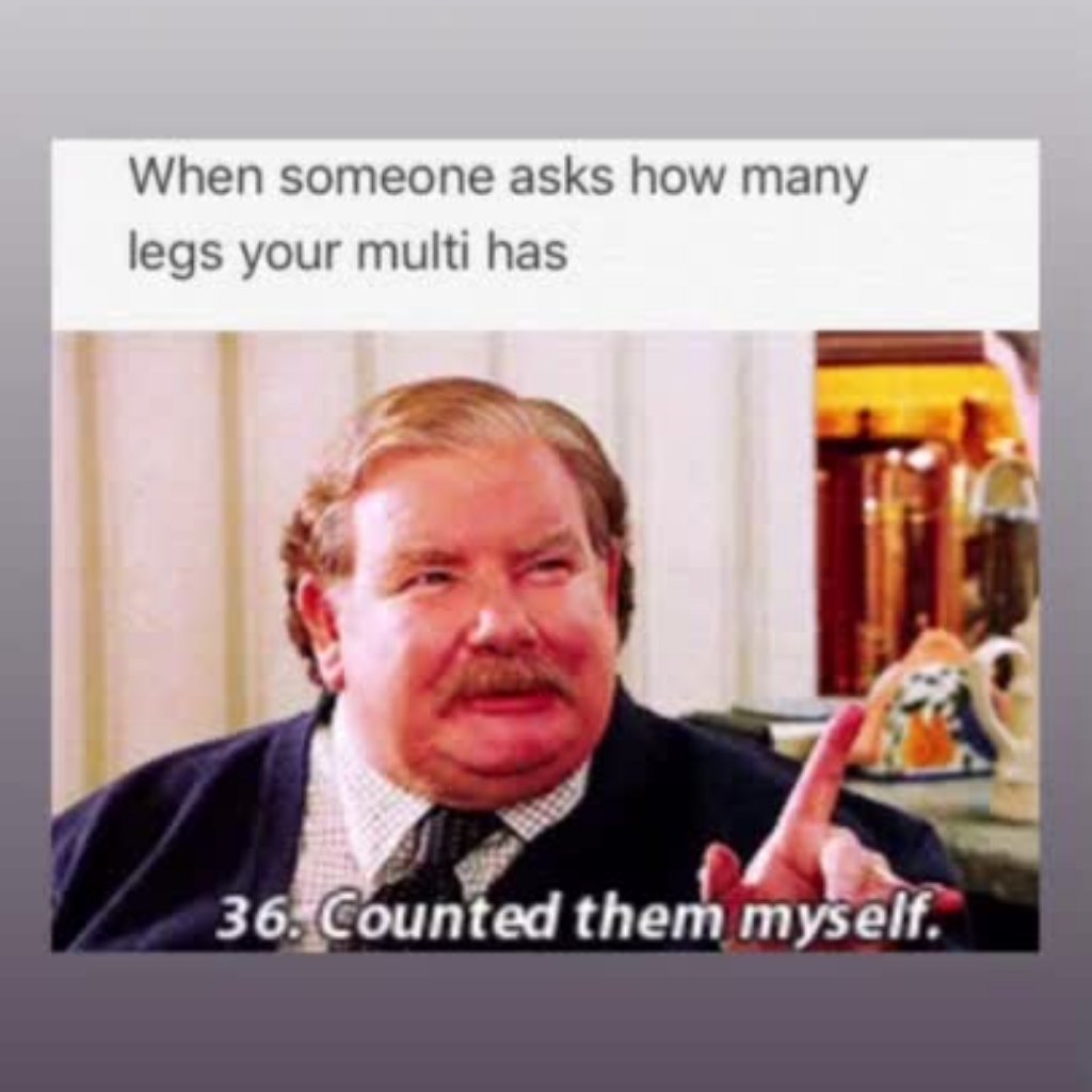 Betswaps's tweet image. 😂😂😂

--
#sportsmemes #sportsbetting #bettingtips #betswaps #betting #bettingsports #memes #punt #multibet