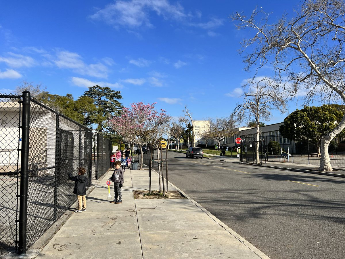 ASRayburn's tweet photo. Our Green Team has been busy! Neighborhood cleanup was this weekend! So happy to have my little helpers meet my students and help out! Amazing support from our #LongfellowLions #GreenTeam #dontlitter #cleanstreets #provepossible https://t.co/3mxBzlji1G