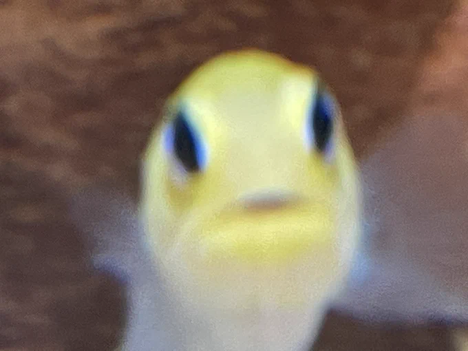 めちゃいい!!!! 