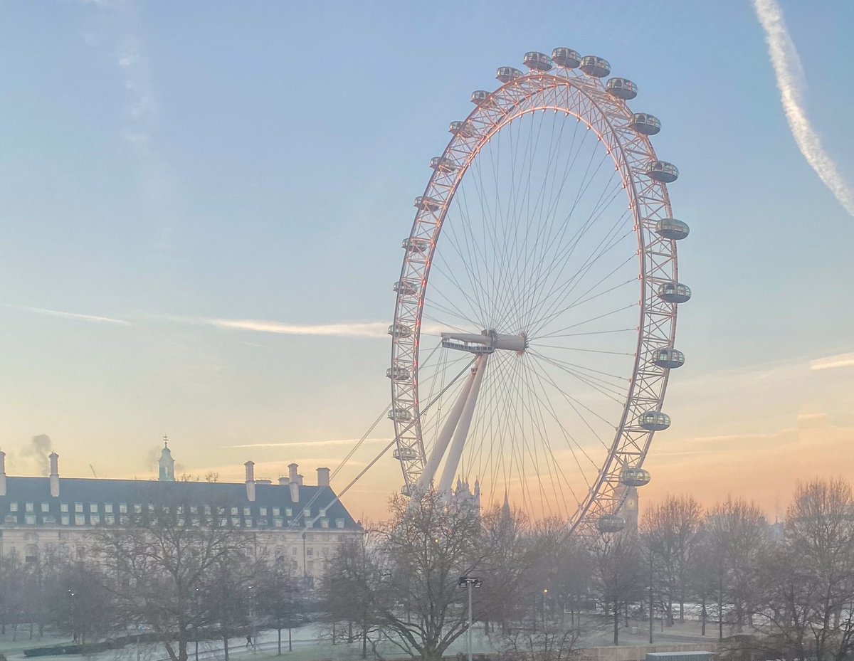 #sharemondays2023 #Wexmonday #APPicoftheWeek London Eye frosty sunrise