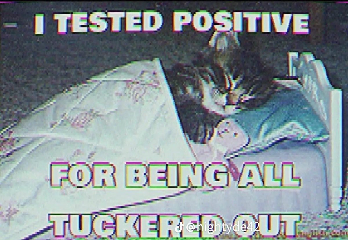 reactions on Twitter "kitten asleep in bed I tested positive for being all tuckered out"