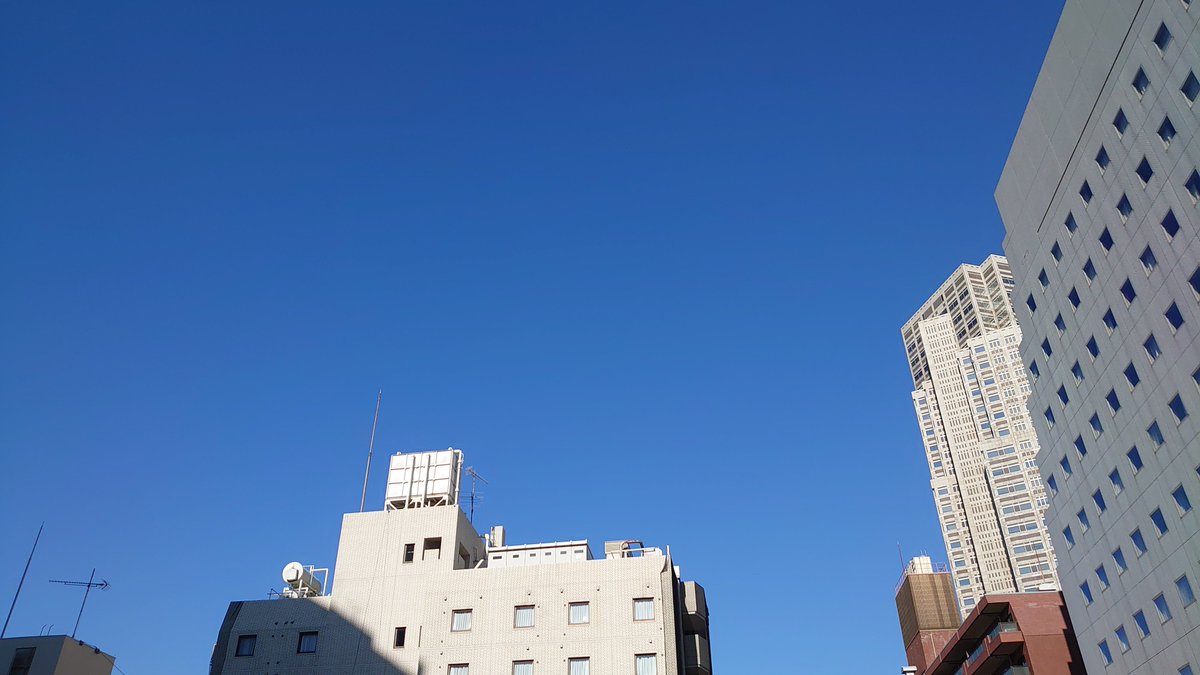 暖かいな～
東京は青空です🌞