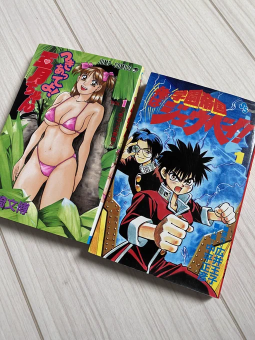 掃除してたら、いにしえのオタクが好きな漫画見つけた。 