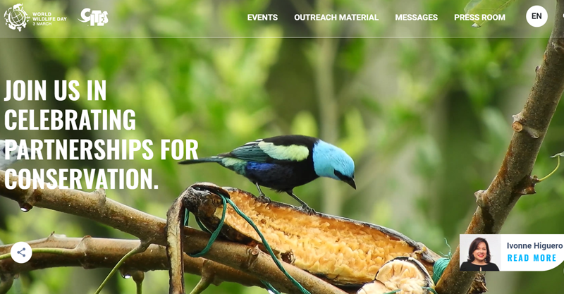 CITES's tweet photo. The year’s biggest celebration of wildlife is just over a month away. The UN’s World Wildlife Day 2023 is on March 3 and you can get details on the events and background to the day by checking out the website: https://t.co/VijPoqWWXt #PartnershipsforConservation #WWD2023 #CITES50 https://t.co/zgtphIklmW
