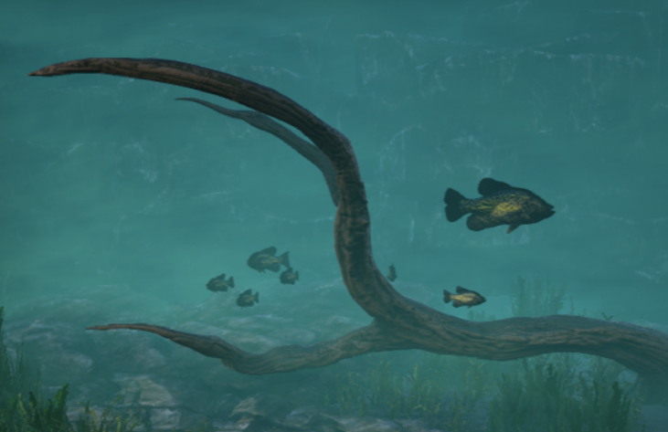KalugaOfficial's tweet photo. Two new fish are ready for the waters of Appalachia! The Gizzard Shad and the Black Crappie will be great additions to the ponds, rivers, and creeks of my map.
#ARKModding #ARKDevKit #ARK #ARKSurvivalEvolved @SurvivetheArk #3D #Art #artist https://t.co/CAMGCK5N8c