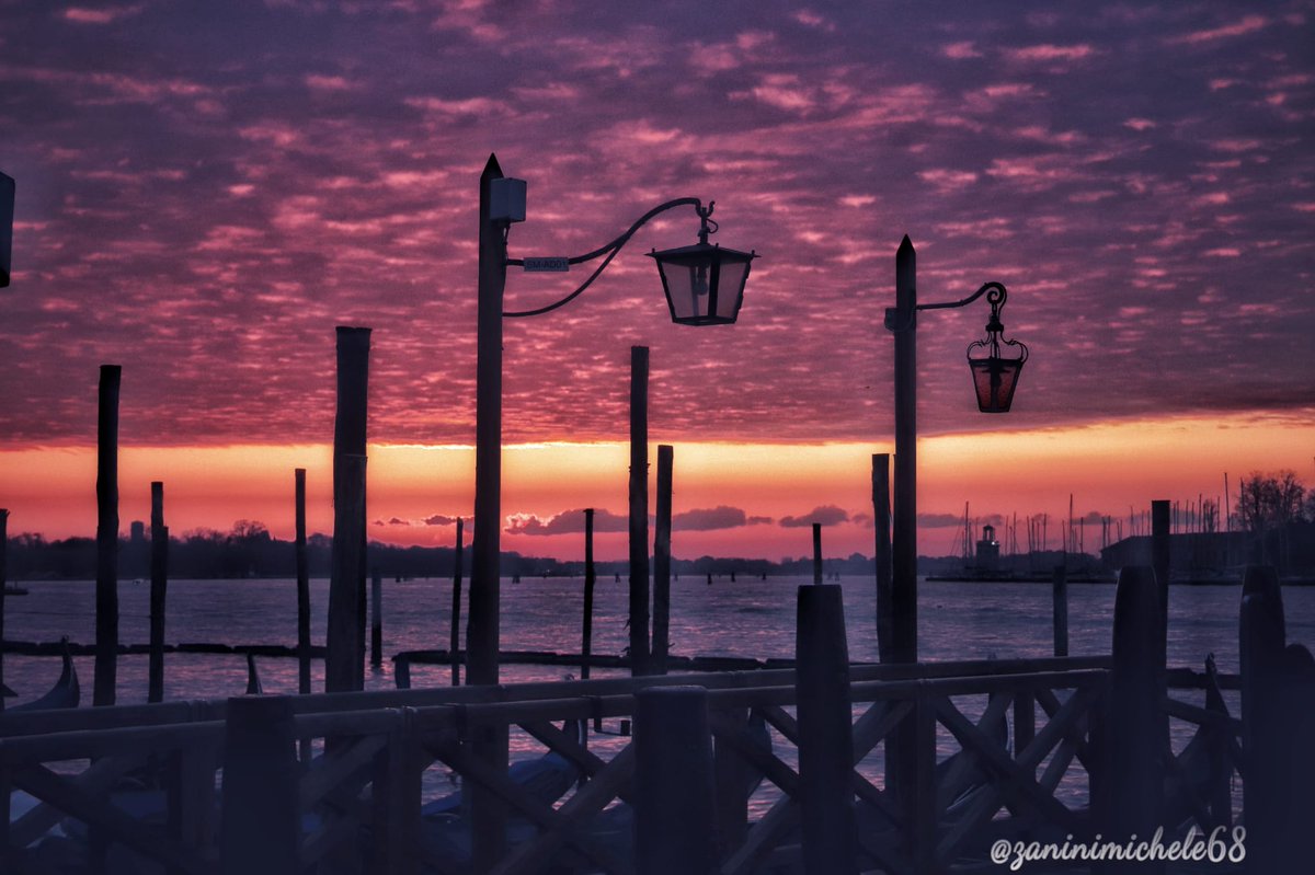 SimonVenturini's tweet photo. #VENEZIA • Una splendida alba sulla #laguna! 

In questi giorni il cielo ha regalato un bellissimo spettacolo colorandosi di mille #colori.

Foto di Michele Zanini. https://t.co/1eF7WTDvlU