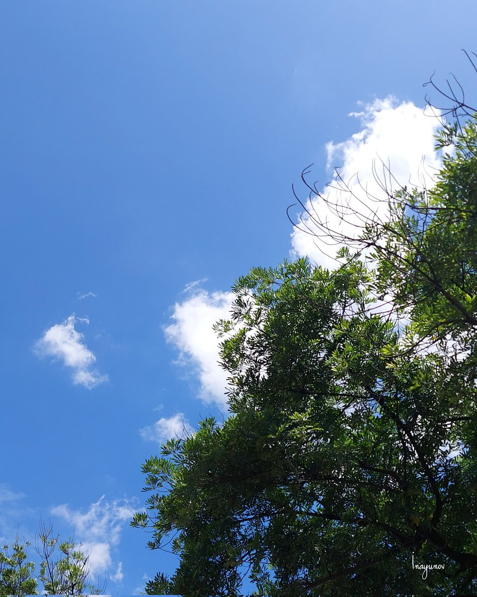 Good afternoon...
Blue sky ☁️
.
#bluesky #sky #Indonesia #heavens #siang #naturesky #nature #NaturePhotography #mobilephotography #streetphotography #phonephotography #photography #photographyontwitter #twitter #twitterphotography #natgeo #motherearth #clouds