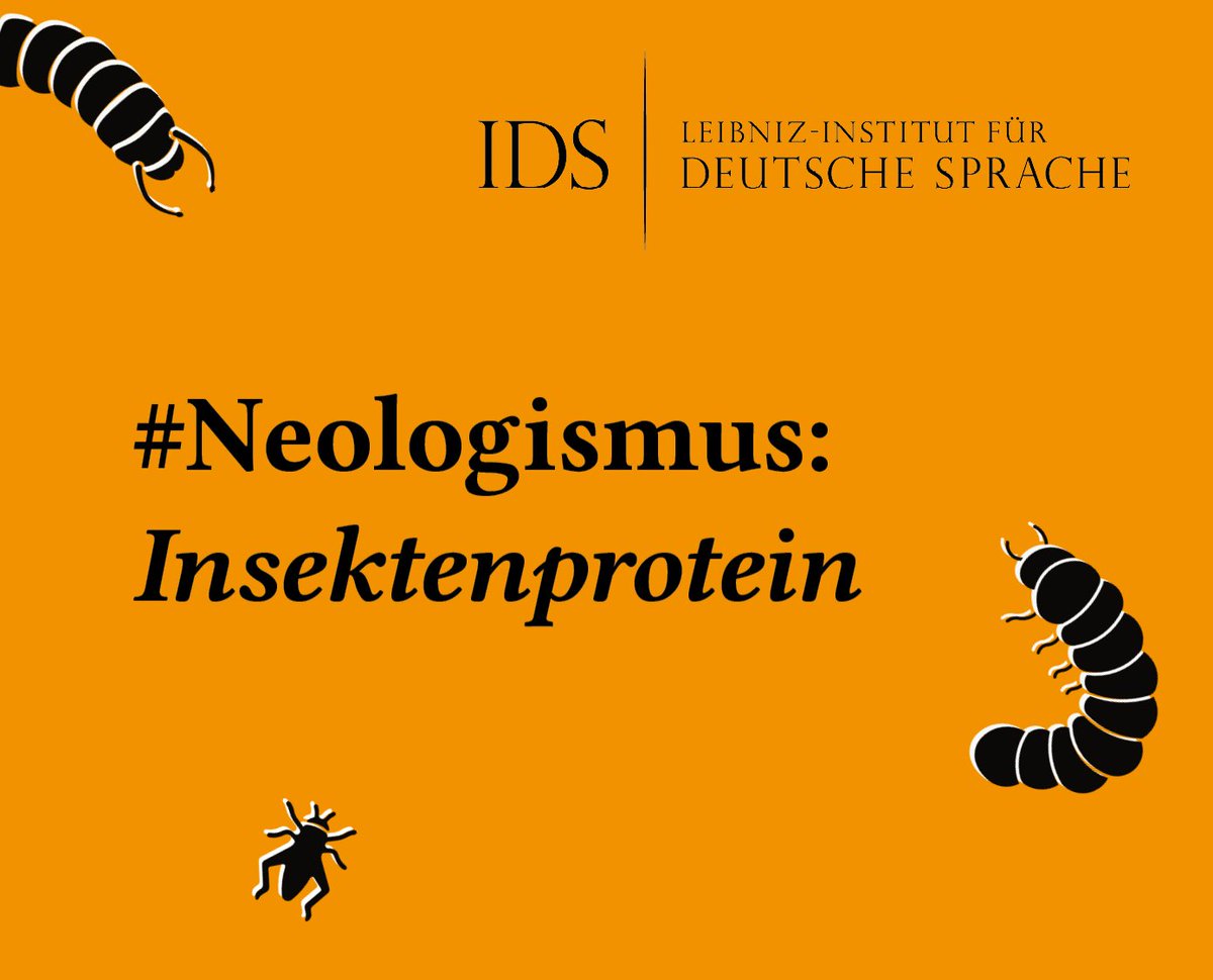 IDS_Mannheim's tweet photo. In der EU dürfen seit letzter Woche Grillen und Getreideschimmelkäferlarven als Lebensmittel verarbeitet werden. 🦗 Doch neu ist die Diskussion um solche #Insektenprotein-Quellen nicht, wie unser heutiger #Neologismus aus den Zehnerjahren zeigt: https://t.co/GSvWaQ8Ul1 #Lexik https://t.co/Eo09LUS8kA