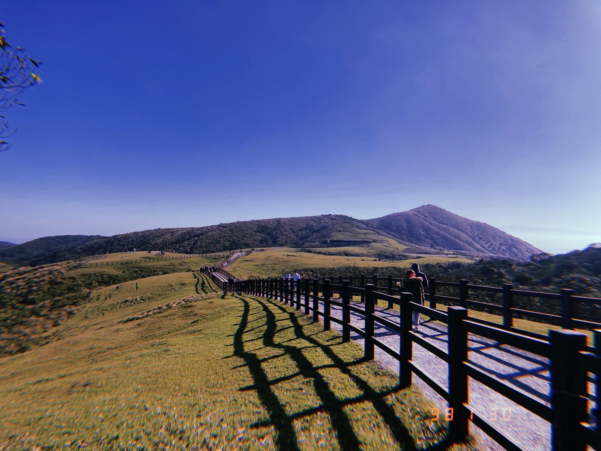 ken14384416's tweet photo. 台北が数十年ぶりに快晴となったので久々のエクスカーション。陽明山の擎天崗へ。ボルヴィックの丘陵を体現したような場所でとても気持ちいい。平日に行っても帰りはバス鮨詰めだったので土日は圧死すると思われる。 https://t.co/D4UaBBzTIX
