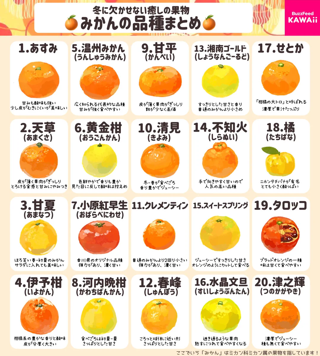 みかんが好きな人必見！みかんのいろいろな品種のとっても分かりやすいまとめ！