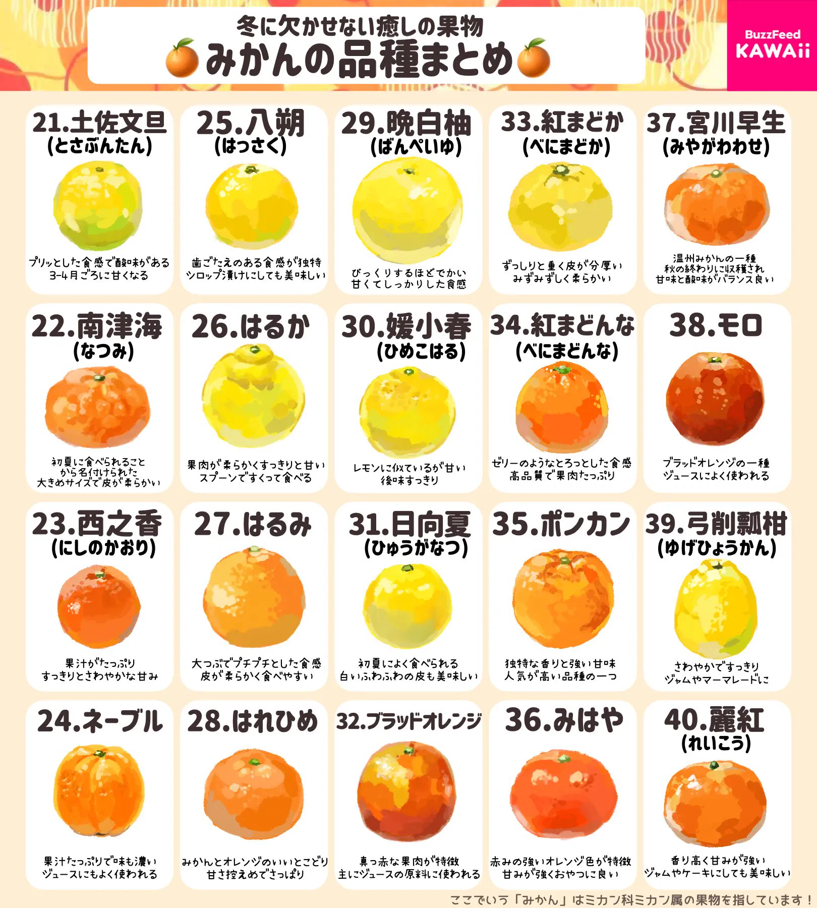 みかんが好きな人必見！みかんのいろいろな品種のとっても分かりやすいまとめ！