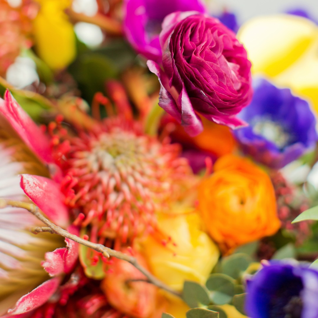 🫶 Your Ceremony Your Way 🫶

With a Celebrant, you have the right and the freedom to choose any style of ceremony you want, anywhere, with anyone! We’re sending ripples throughout social media to make sure you know your options. 

#TheCelebrantDirectory