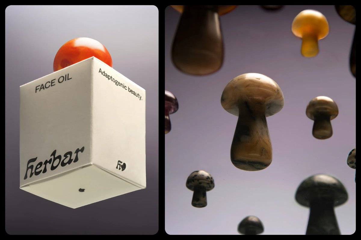 Todo_DisenoG's tweet photo. Rituales, psicodelia y hongos. La esencia de la identidad corporativa que Elise Rigollet diseña para Herbar, una linea de cosméticos que se enfoca en los superpoderes de estos hongos, hierbas y plantas.  #branding #Logo #tipografía https://t.co/5Lr9HRXz2L