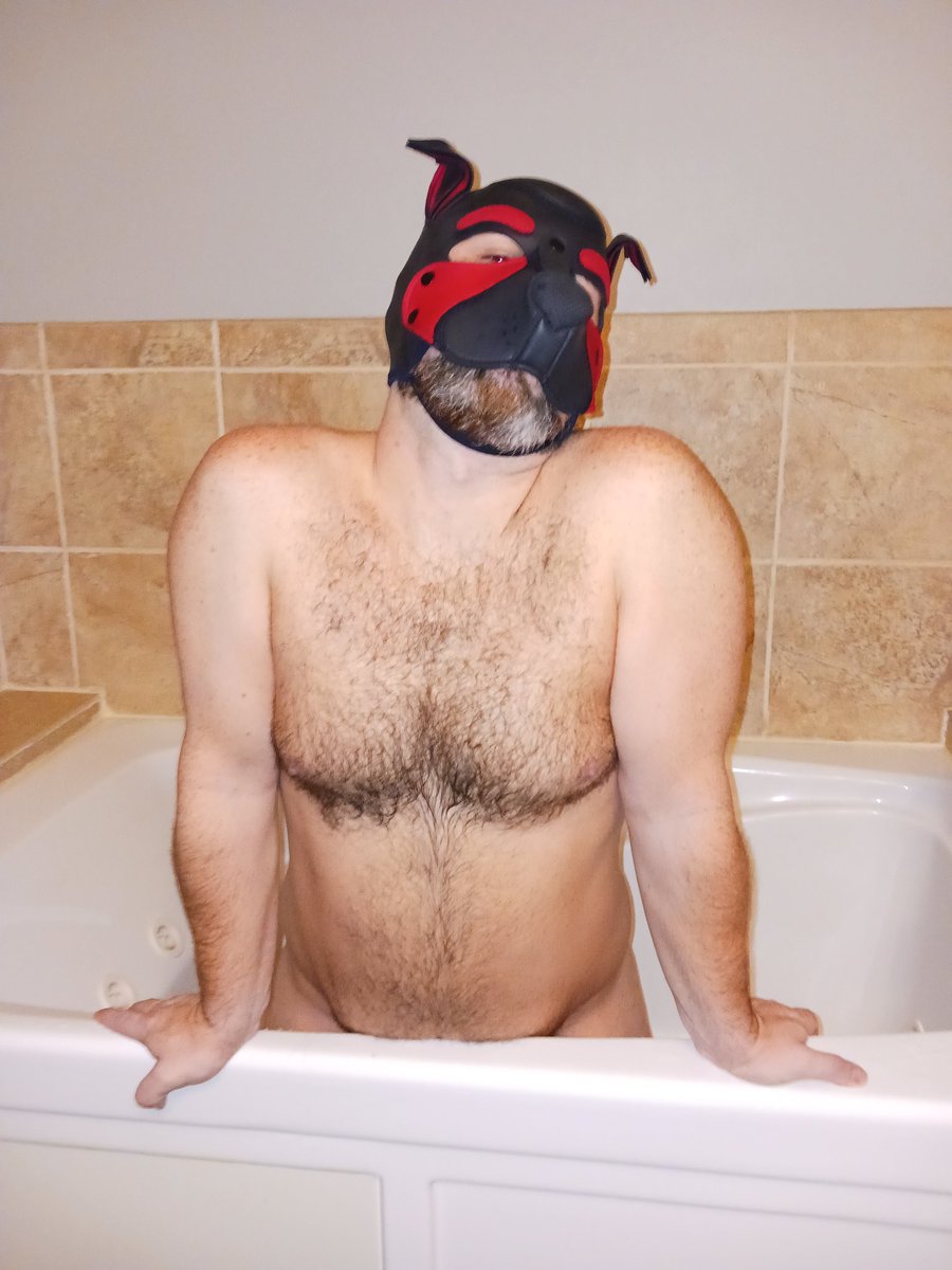 Pup Rysei tweet media