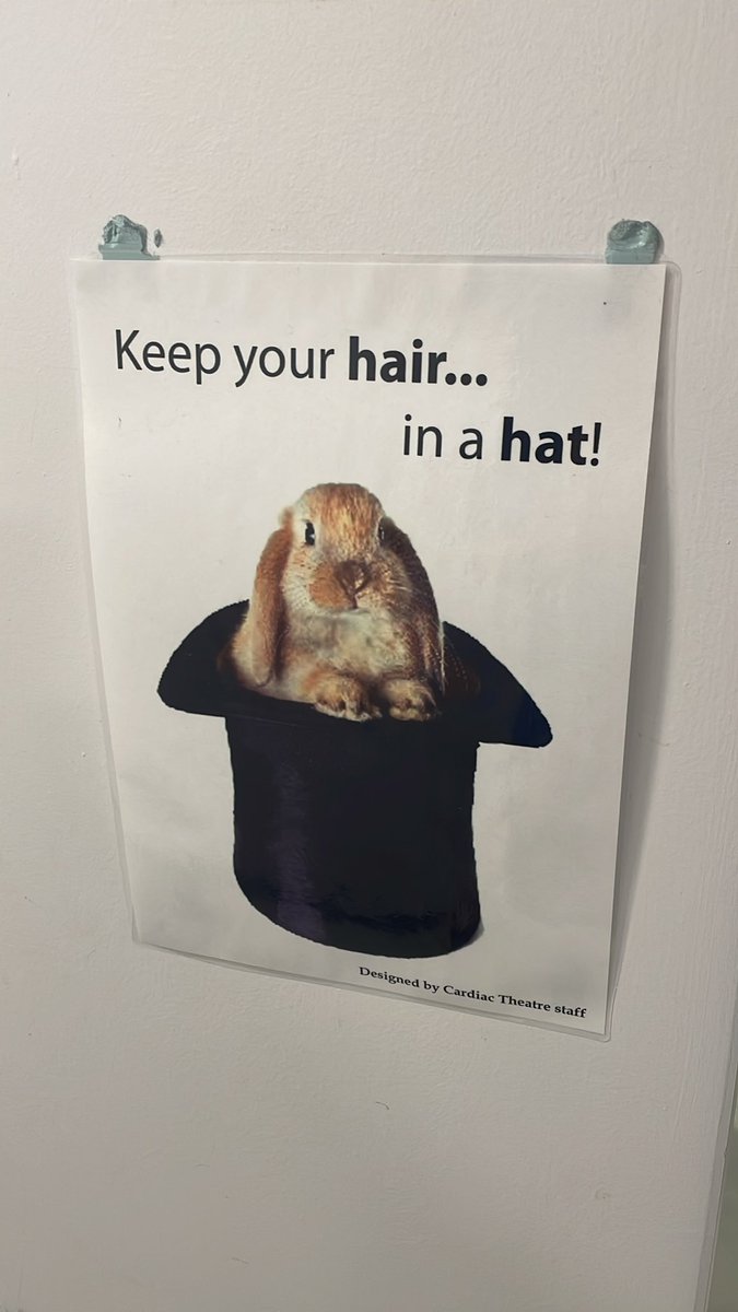 That’s clearly a rabbit.