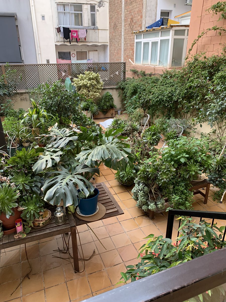 Gisela Amat Castany  γισελα tweet media