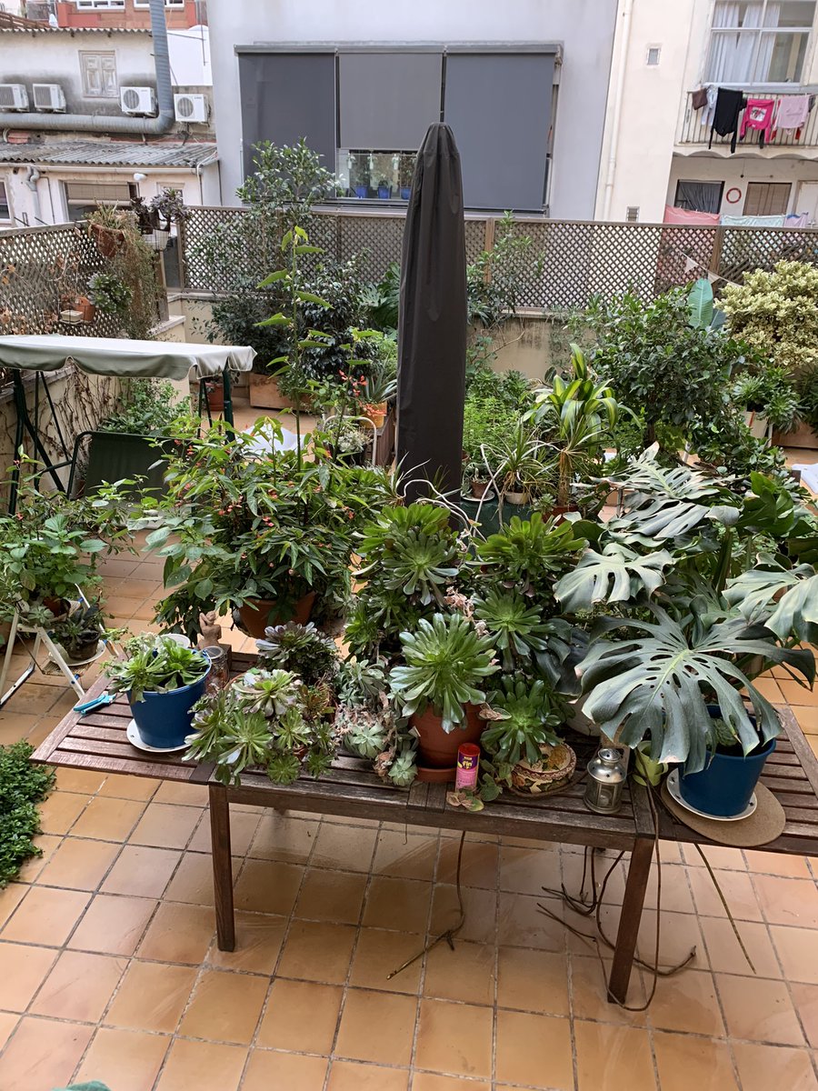 Gisela Amat Castany  γισελα tweet media