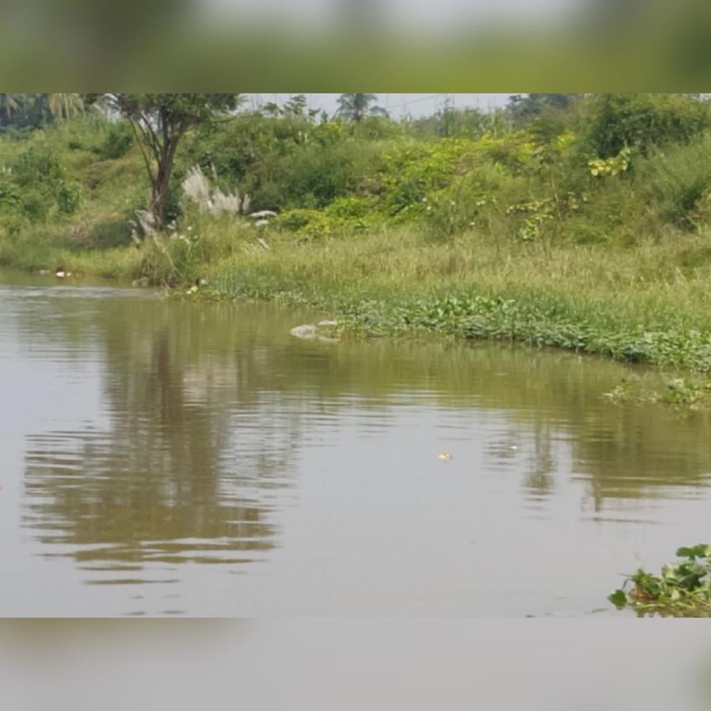 MCKGCAP's tweet photo. SAVE BLUE. LIVE GREEN
#mckgc #i #canclean #canal #water #green #blue #life #cdma #swachhandhra https://t.co/hY6uXJKzZQ