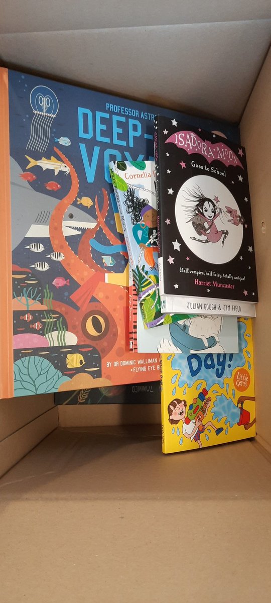 Maltese Road Primary tweet media