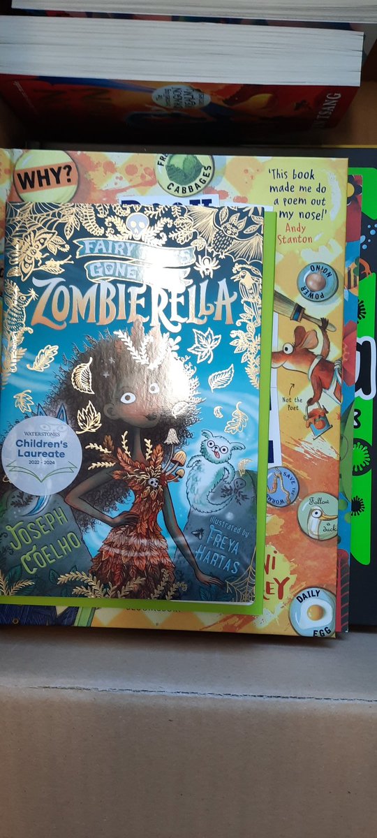 Maltese Road Primary tweet media