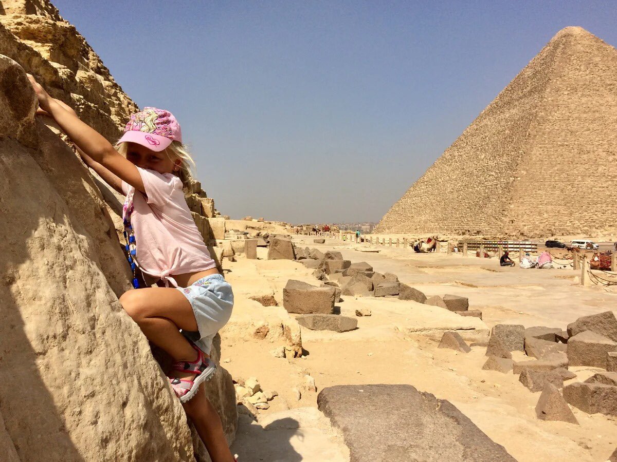 tour_tomy's tweet photo. Enjoy one day trip to The Great Cairo by bus, amazing places in our plan you will visit and admire for sure ❤️

Just join us with no hesitate
https://t.co/7XzvhHeMEv
#trips #cairo #tomy_tour #sharm_elsheikh https://t.co/9mm7HfVgZ4