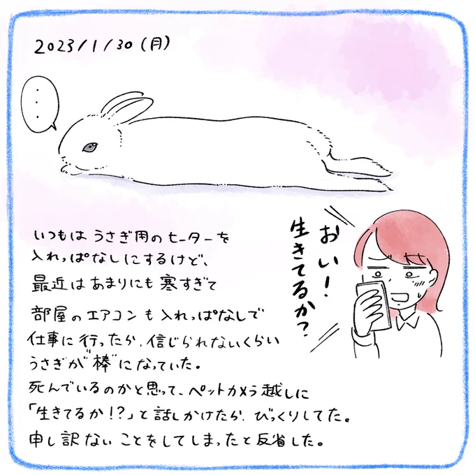 うさぎ日記

#絵日記 