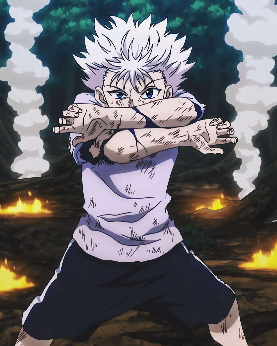 RT @HxHVizuals: Anime : Hunter x Hunter https://t.co/cX3ZKKO926