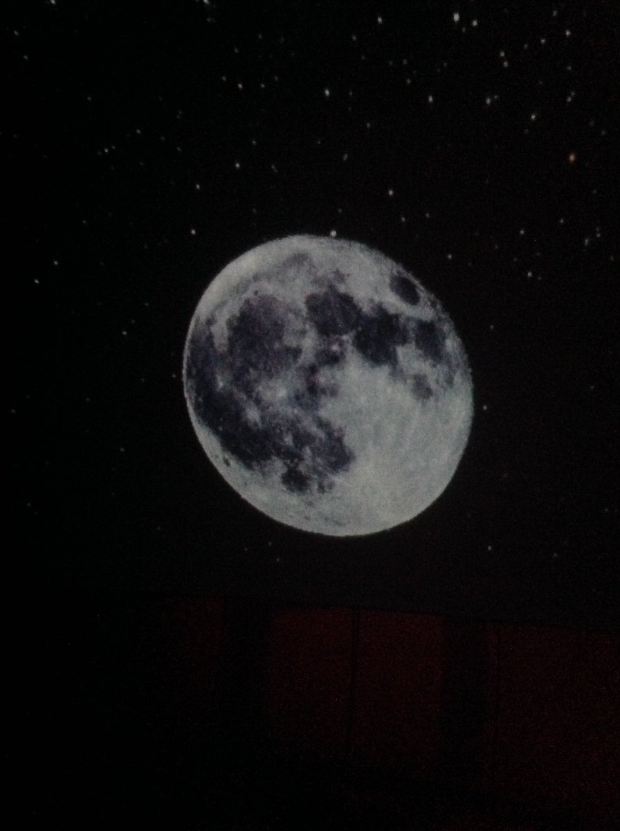 MrNeilsonAPS's tweet photo. @ArdenPrimary thank you to Dennis and the wonder dome. We had an amazing adventure into space as part of our topic Moon Zoom! What a brilliant planetarium experience for Year One 🚀🛰🌍 https://t.co/DChBSgWgoG