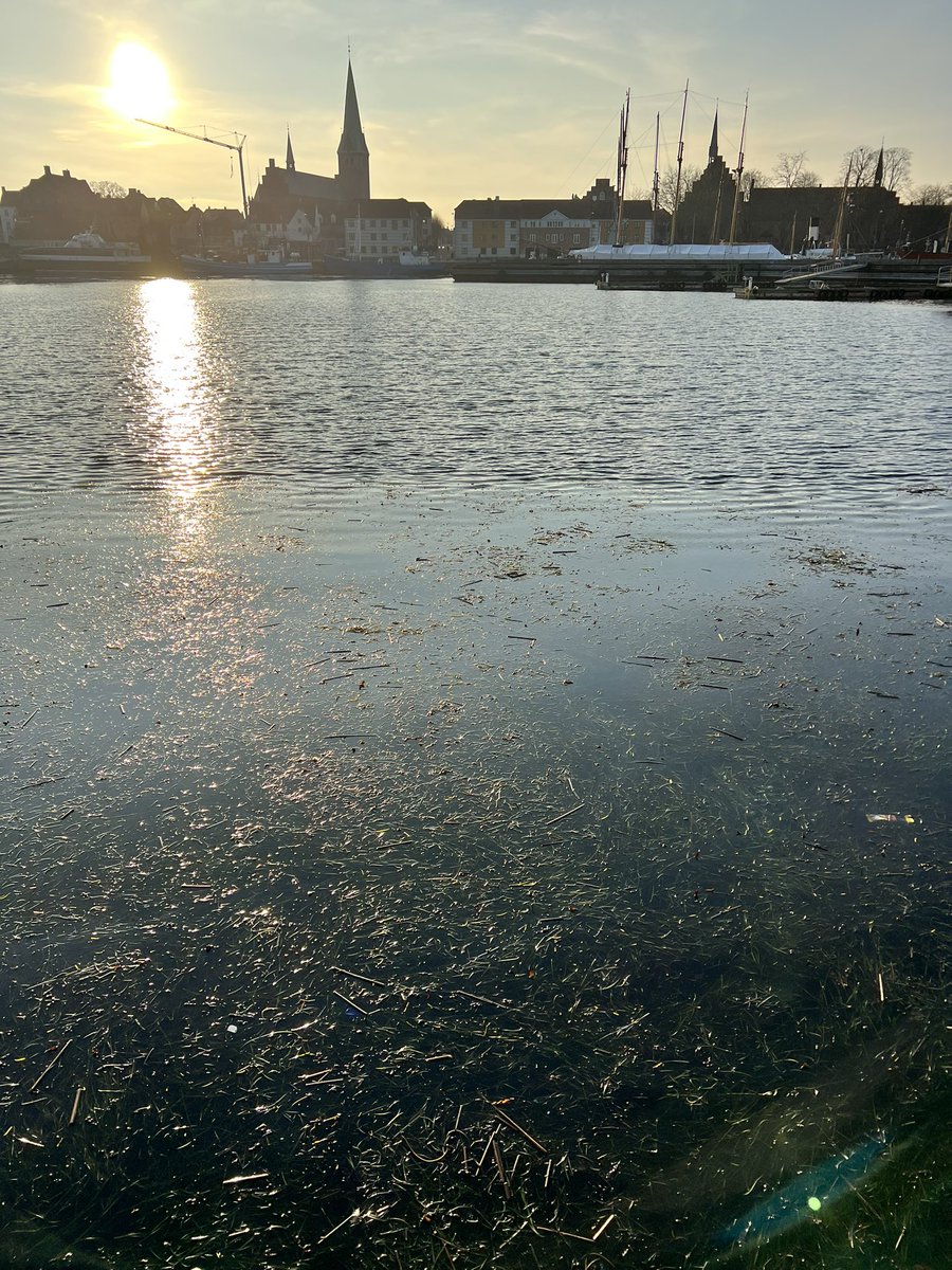 Christian Pansch tweet media