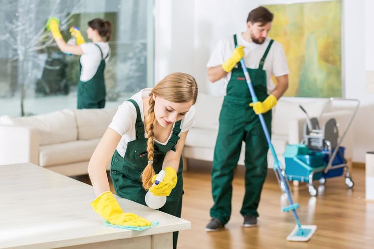 If you’re looking for office cleaners, we cover Aberdeen and look after small - medium sized buildings🌱

🧼 Aberdeen Commercial Cleaning Company
🌱 Eco-friendly
💚 Fully Insured
🔑 Key holder positions only
💫 Special 10% Off Offer for all new customers