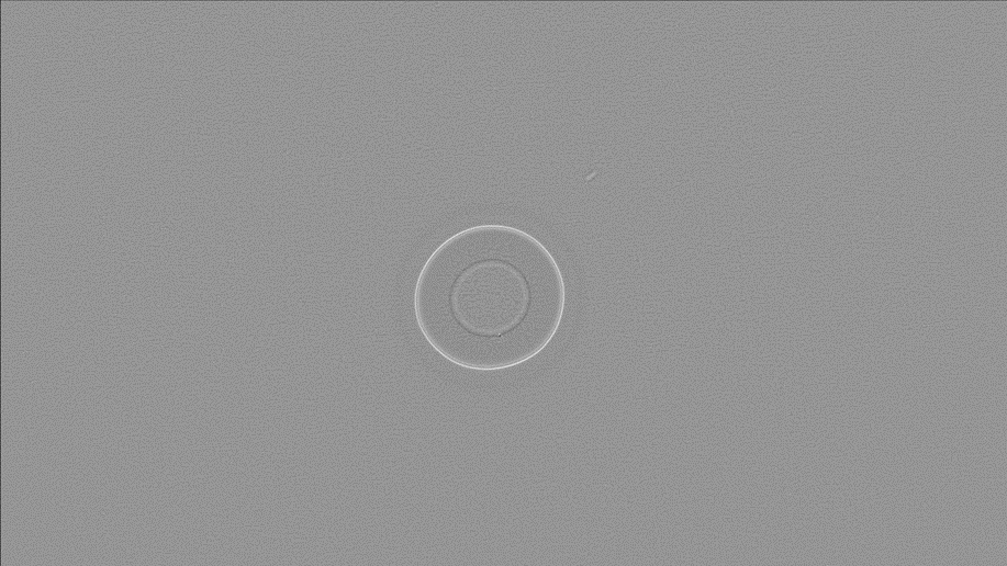 IncTomomi's tweet image. 疎水性表面の水滴を観察
#foresight_stereo #computer_vision