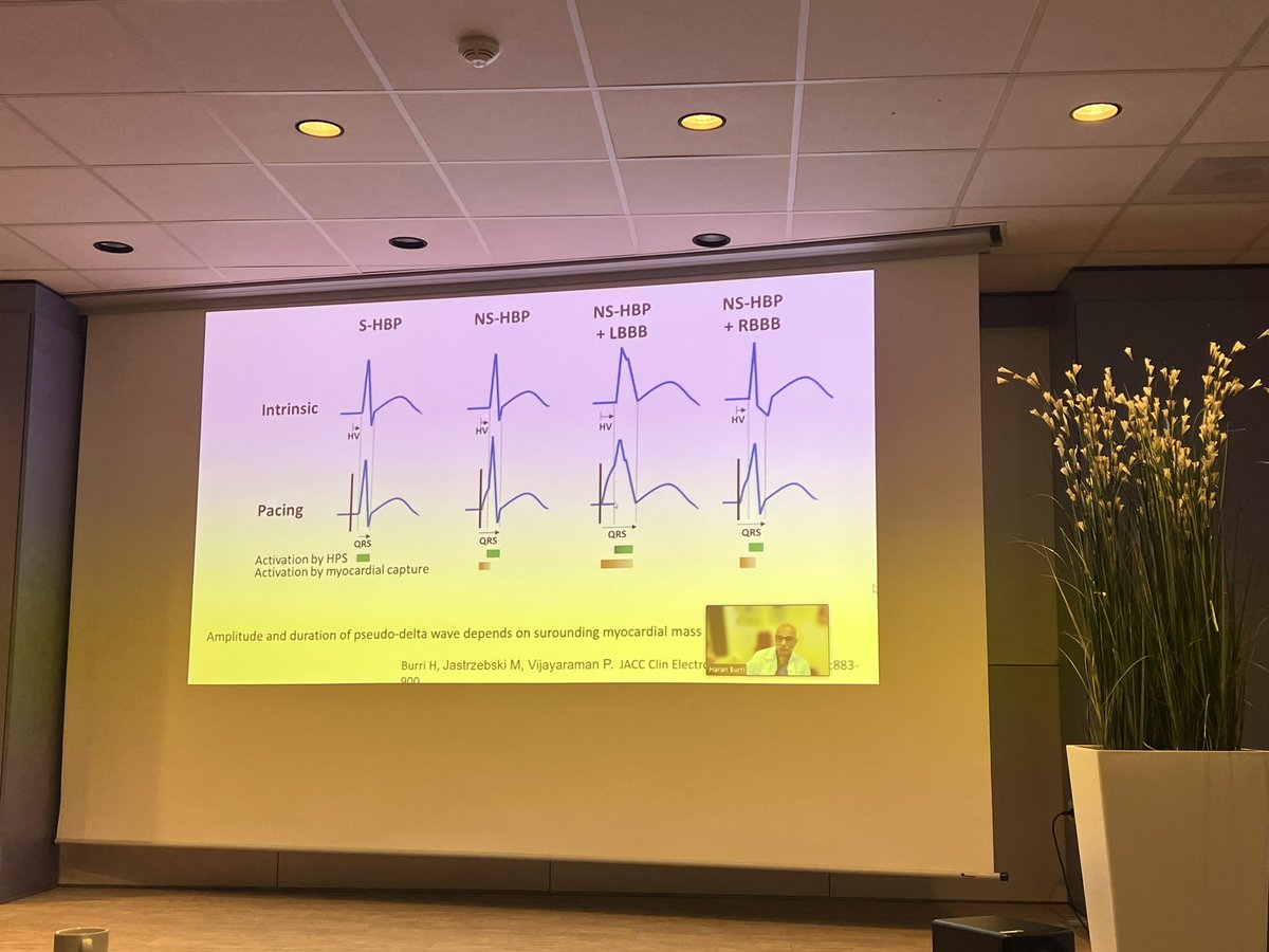 Dominik Linz tweet media