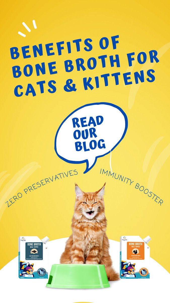 goofytails's tweet photo. Benefits of #BoneBroth for cats and kittens - Read our #blog here -> https://t.co/xyDvVPzBa2 <> #GoofyTails #CatFood #Cat https://t.co/upRYfy0tyi